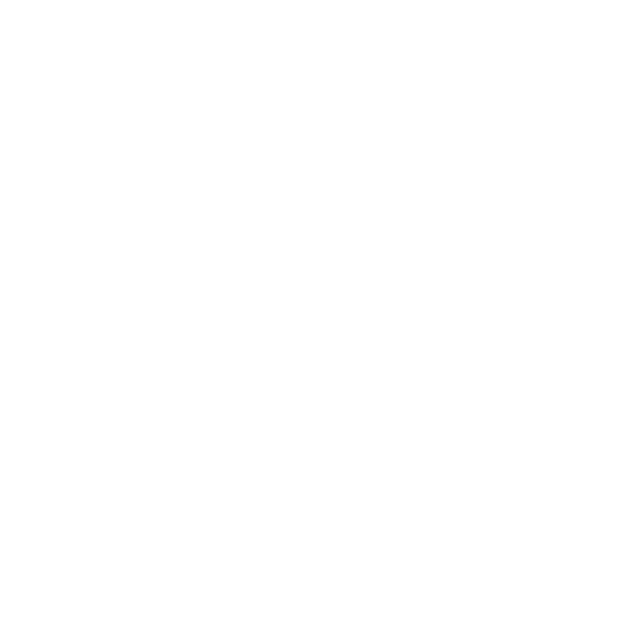 Flash Visual Media